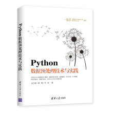 Python数据预处理技术与实践 数据处理技术详解