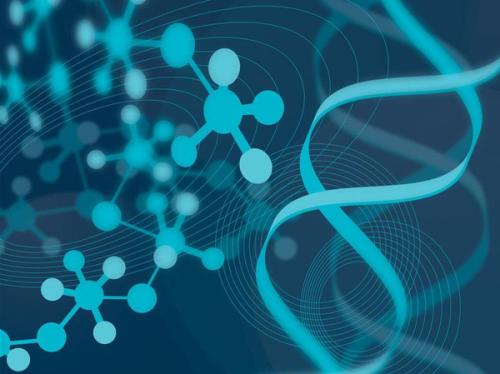 高龄妊娠中胚胎植入前遗传学筛查的关键作用与数据处理技术