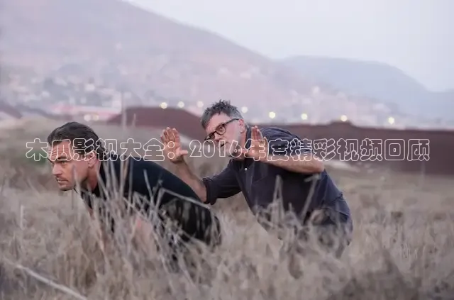 木瓜影视大全：2016年度精彩视频回顾